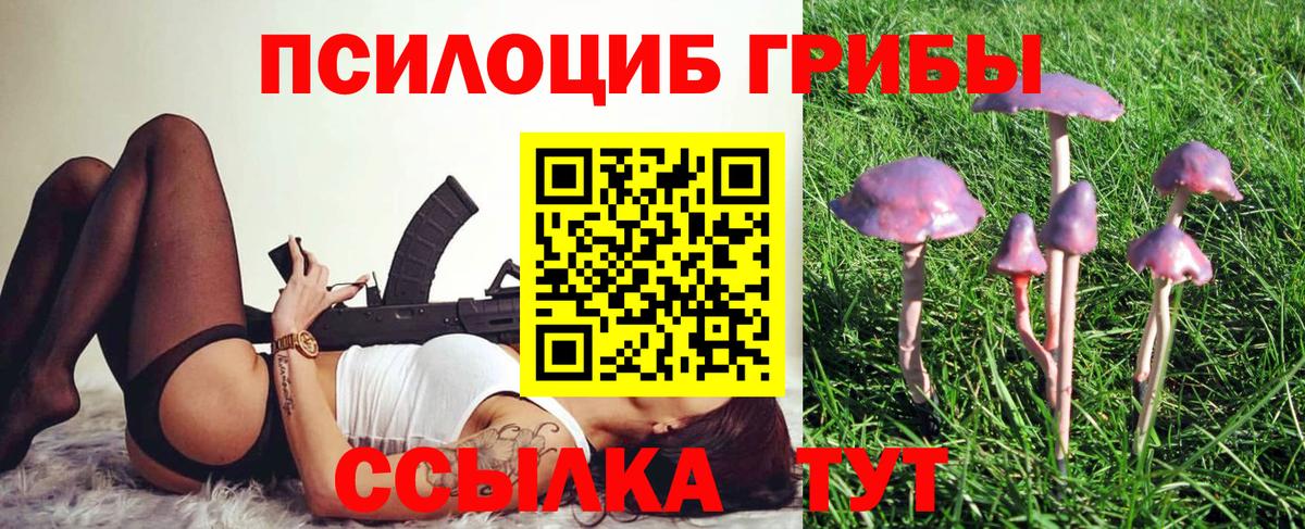 Мурманск  Псилоцибиновые грибы GOLDEN TEACHER  Галлюциногенные грибы мухоморы  Вход с VPN 
